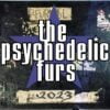 The Psychedelic Furs – 2023 Tour Dates